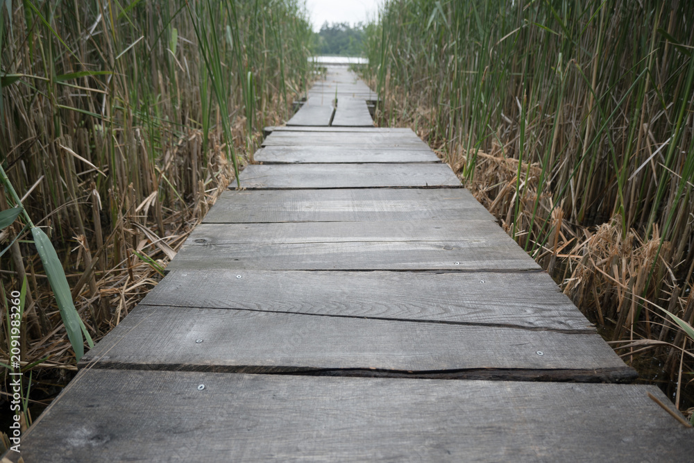 Obraz premium Wooden pier leading to a fishing spot. 