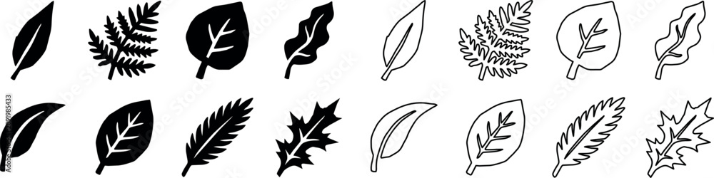 Fototapeta premium Set of various leaf shapes and types with solid and outline styles