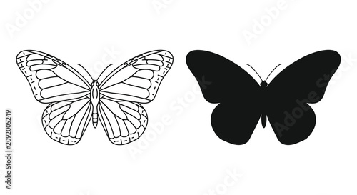 Foto Two butterflies one detailed line drawing and one black silhouette butterfly