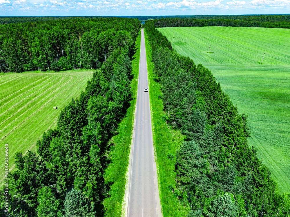 Naklejka premium Straight asphalt road bordered by dense greenery leading through lush fields and forested area