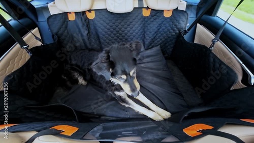 Dog resting comfortably on a quilted backseat cover in a moving vehicle during a sunny day
