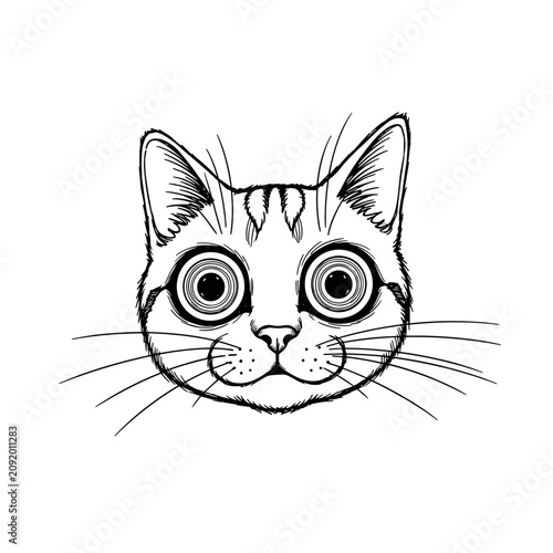 Konstfotografi Hand drawn sketch of a wide-eyed cat face with expressive features
