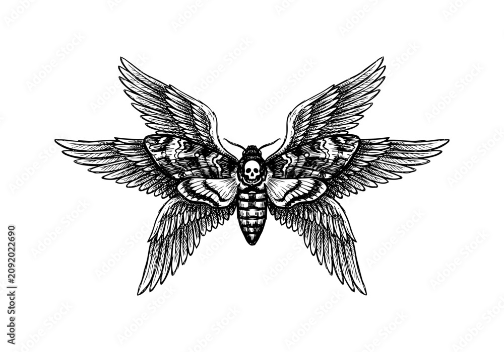 Fototapeta premium Vintage Fallen Angel Lucifer Vector Illustration Hand Drawn Winged Demon Devil Mythology Black And White Line Art Sketch For Gothic Tattoo Flash And Graphic Design