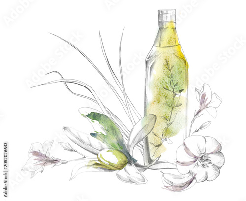Bild auf Leinwand Traditional olive oil bottle, leaves, ripe olive fruits, herbs, garlic seasoning in soft watercolor washes, hand drawn pencil contour