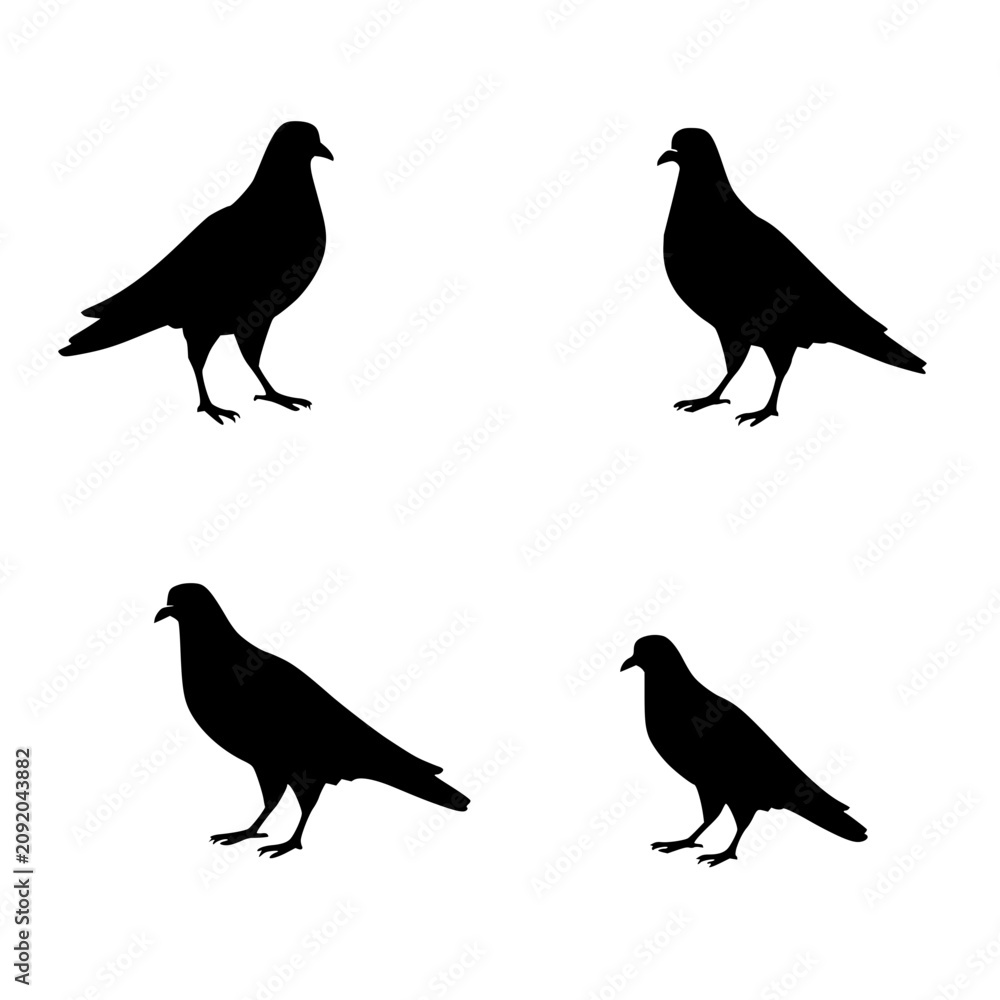 Fototapeta premium Four black pigeons in different poses, each occupying a quarter of the image, set against a white background. The pigeons are depicted in a minimalist, vector illustration style with clean lines an...