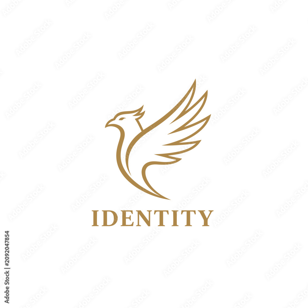 Fototapeta premium Gold eagle line art logo with identity text.