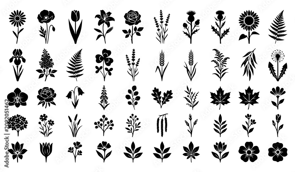 Fototapeta premium Stylized Floral Silhouettes Collection with Black Flower and Botanical Plant Vector Set