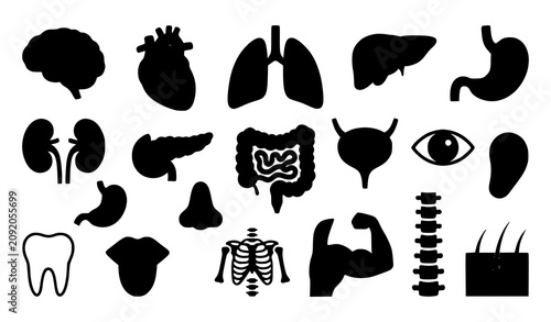 Cuadro en lienzo Human anatomy organ silhouettes collection medical illustration
