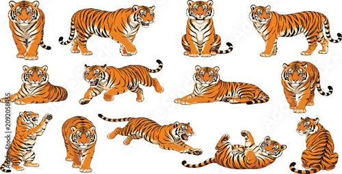 Photography Detailed Realistic Bengal Tiger Vector Illustration Set Featuring Majestic Wild