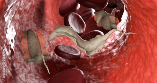 3d illustration of trypanosoma cruzi, a human parasite. Not AI generated