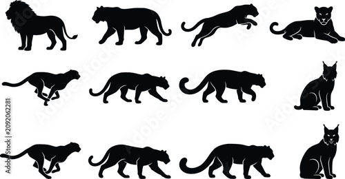 Photography Big wild cats silhouettes vector set including lion tiger panther cheetah and ly