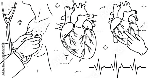 Schilderij op canvas Cardiology Medical Examination Line Icon Set Featuring Doctor Auscultating Patie