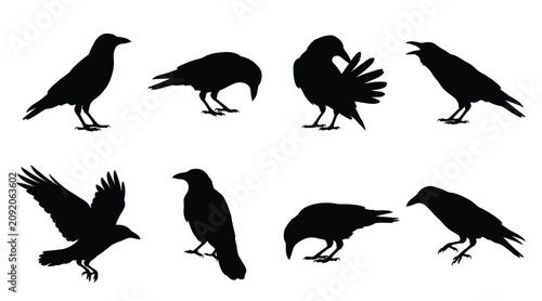 Schilderij op canvas Set of black crow silhouettes