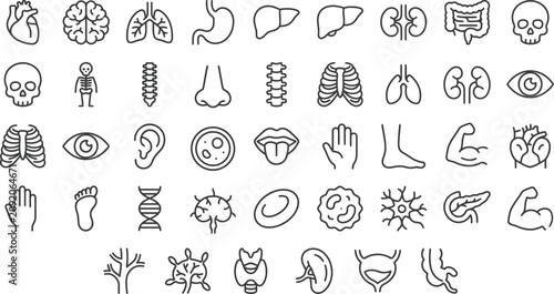 Foto Anatomical organs and skeletal system line icons set against a transparent backg
