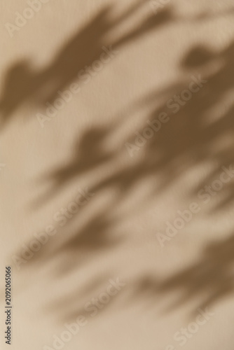 Blurred shadow of tree leaves fall across a light beige wall in bright sunlight. Minimalist botanical pattern, overlay effect, summer holiday relaxation, mediterranean vacation vibe.