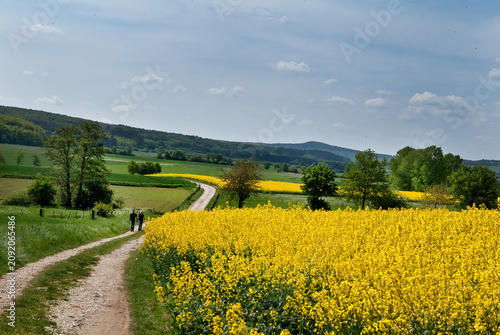 Spaziergang im Grünen