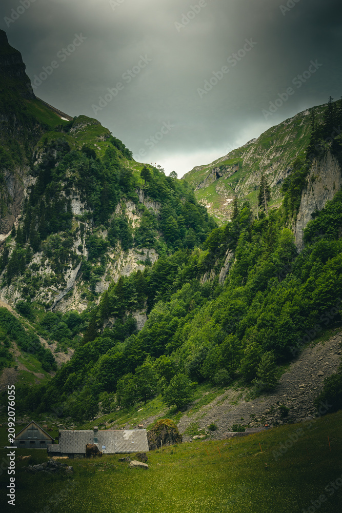 Fototapeta premium lake in the mountains