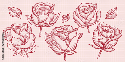 Hand Drawn Vintage Rose Collection – Botanical Engraving Flowers Vector Set