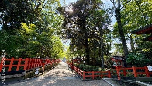 Sunlit Walkway Through a Traditional Japanese Shrine With Red Fences