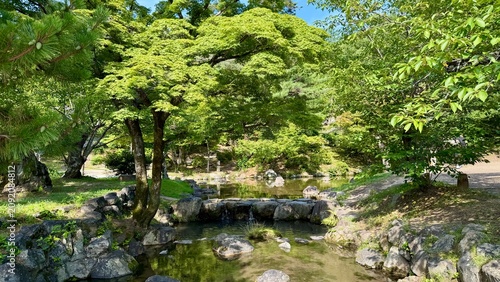 Lush Green Trees Reflected in a Peaceful Traditional Japanese Garden Pond