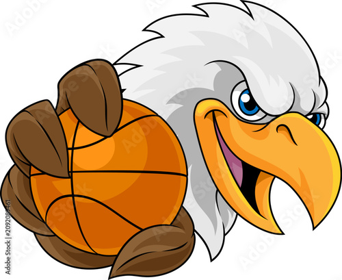 Bald Eagle Falcon Hawk Bask...