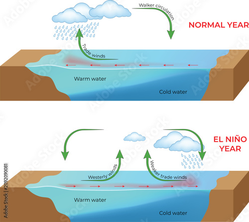 Photos El Niño vs Normal Year Ocean Circulation Diagram with Trade Winds, Walker Circul