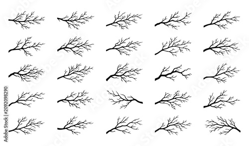 Photos Minimal Dry Tree Branch Silhouettes with Natural Forest Twig Shapes for Decorati