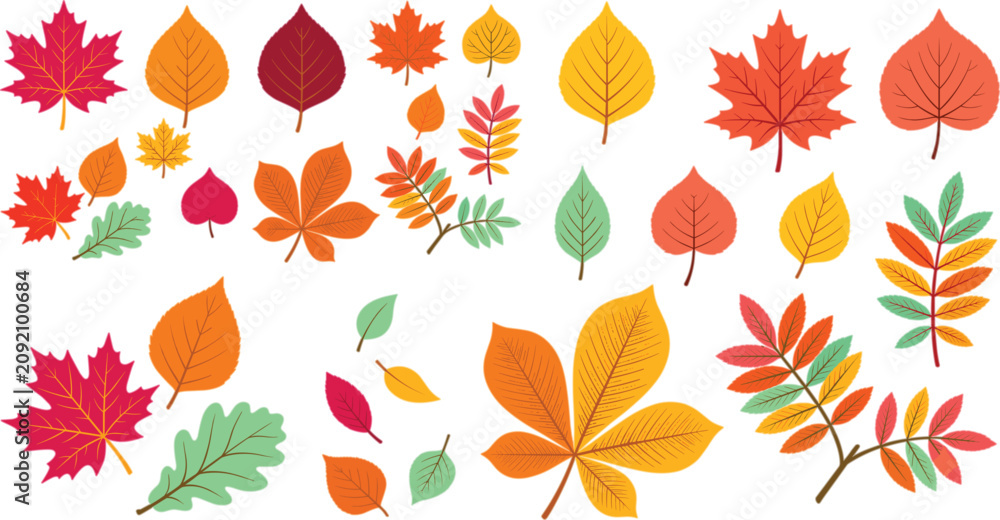 Fototapeta premium Beautiful Autumn Fall Leaves Mega Bundle Graphic Elements Vector Icon Set