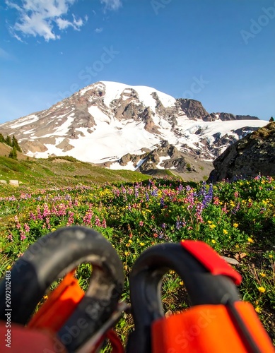 Snow Capped Mountain Rising Above Colorful Wildflower Meadow on Sunny Alpine Trail