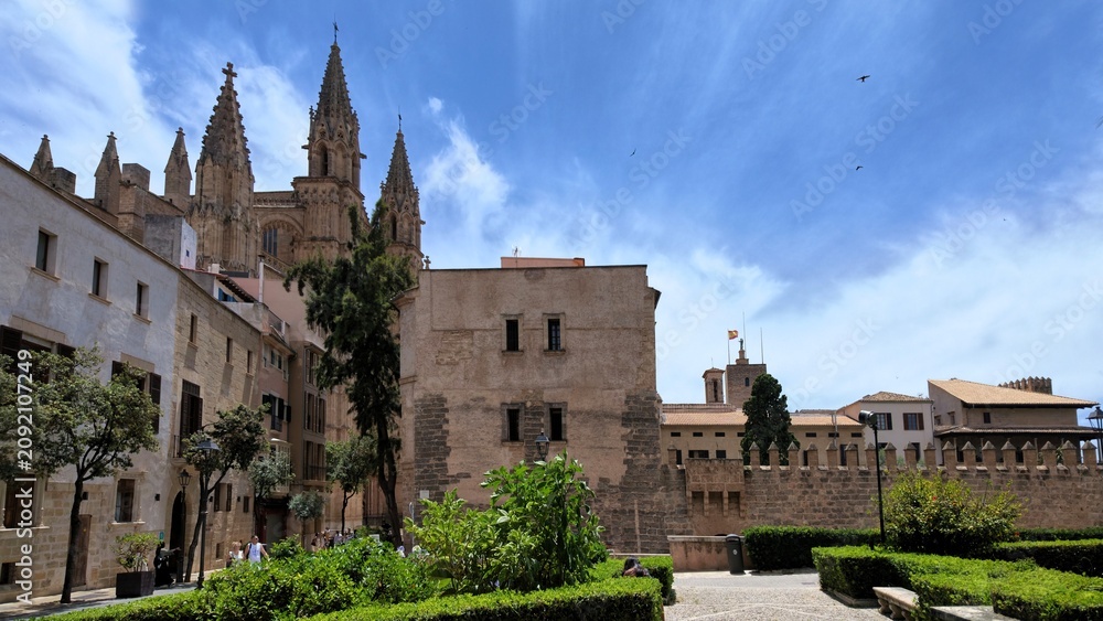 Fototapeta premium Mallorca, Palma 