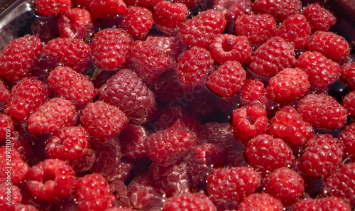 Obraz na plátně Fresh red raspberries washing in water, close-up full frame background