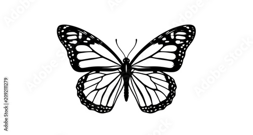 Konstfotografi Monarch butterfly silhouette on transparent background