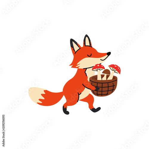 Vector image of a fox with a basket of mushrooms, in doodle style. A fox in paws carries a basket of mushrooms on a white background