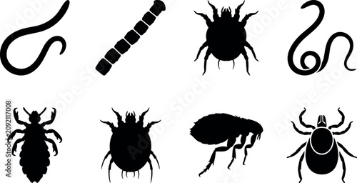 Cuadro en lienzo Parasites and medical pests vector silhouettes collection featuring ticks fleas