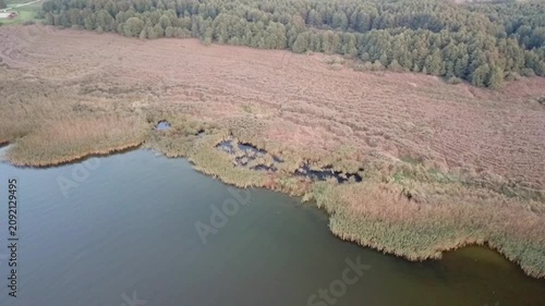 Ascending lateral drone clip, shore of the Curonian Lagoon, forest, mainland with lakes, Lithuania
