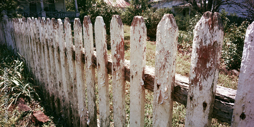Rustic Wooden Fence in Overgrown Garden