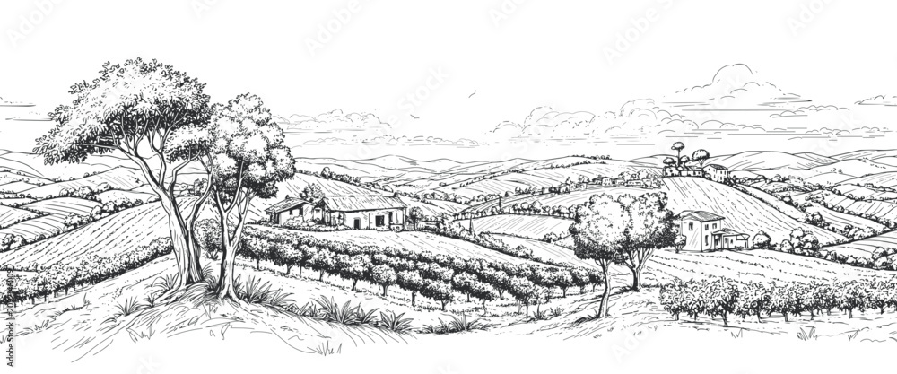 Obraz premium Brazilian coffee, panorama of a coffee plantation, hills, houses on the horizon. Digital illustration. Graphic pencil drawing, minimalism. Coffee trees, sunlight, isolated on a white background