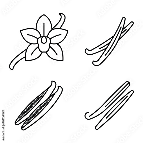 Set of vanilla orchid flowers and dried sticks outline icons. Minimalist black vector line art graphics.