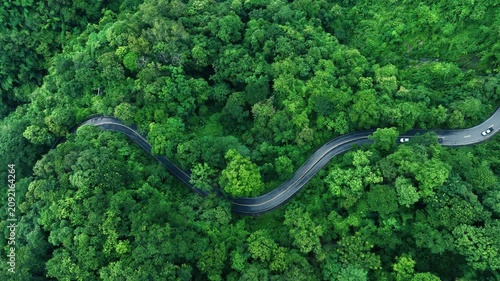 Aerial Tropical Forest Road for Sustainability Report and Green Infrastructure