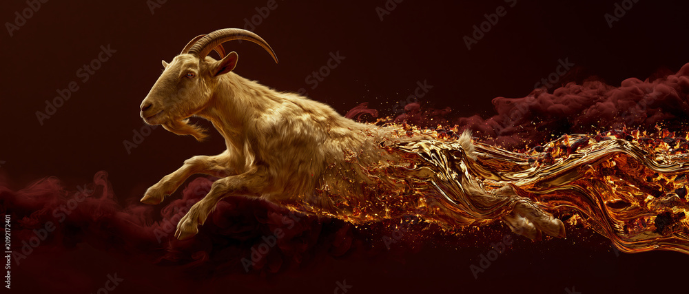 Fototapeta premium golden-furred goat leap,