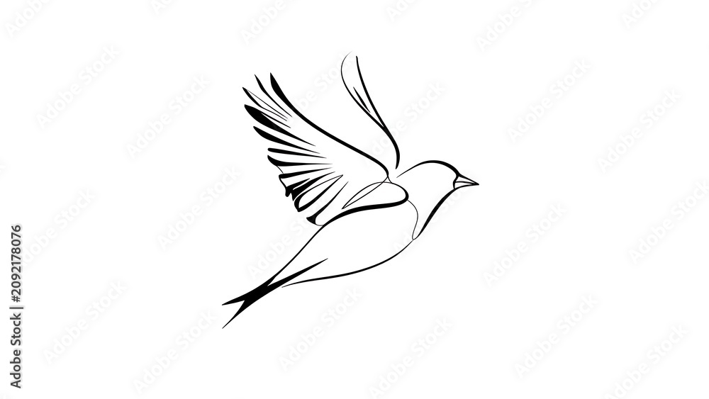 Obraz premium Minimalist bird drawing on white background.