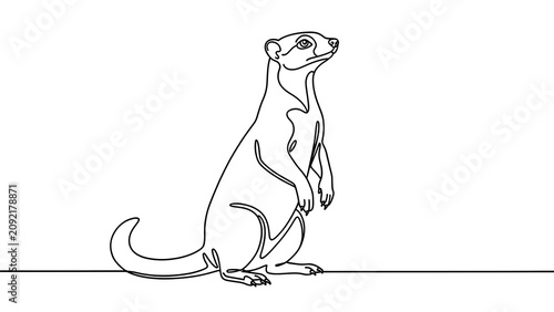 Mongoose illustration on white background.