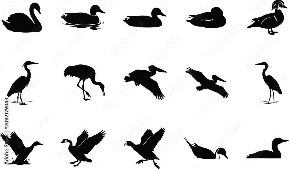 Fototapeta premium Waterfowl and Wetland Bird Silhouette Collection with Flying and Swimming Birds