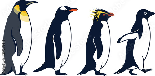 Obraz na płótnie Diverse Penguin Species Vector Set Featuring Flat Minimalist Illustrations of Em