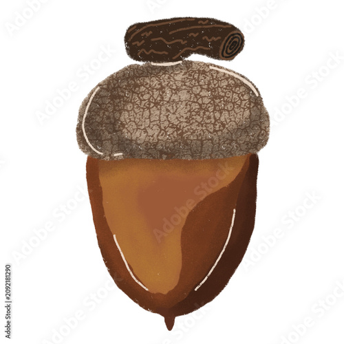 Hand Drawn Acorn with Oak Cap Autumn Forest Nature Illustration