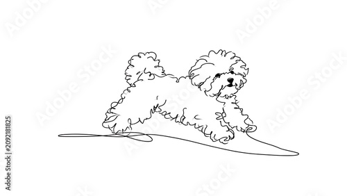Playful fluffy dog illustration on white background.