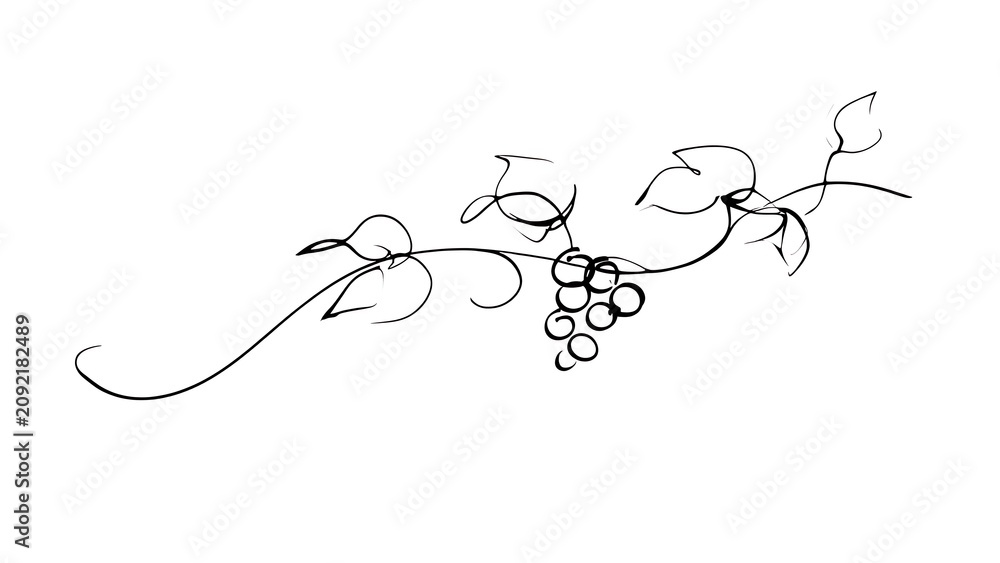 Obraz premium Elegant grape vine illustration on white background.