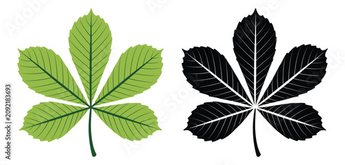 Fotografie Horse chestnut buckeye leaf illustrations showcasing botanical foliage, organic leaf structures, and clean minimalist vector graphics in silhouette and color styles for nature and gardening themes