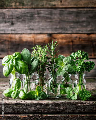 Fresh Culinary Herbs in Glass Bottles – AI Generative
