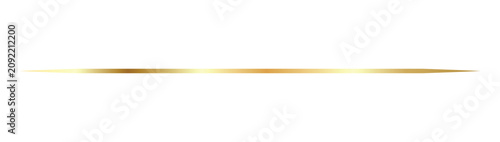 Tableau sur toile Elegant ornamental horizontal divider golden line
